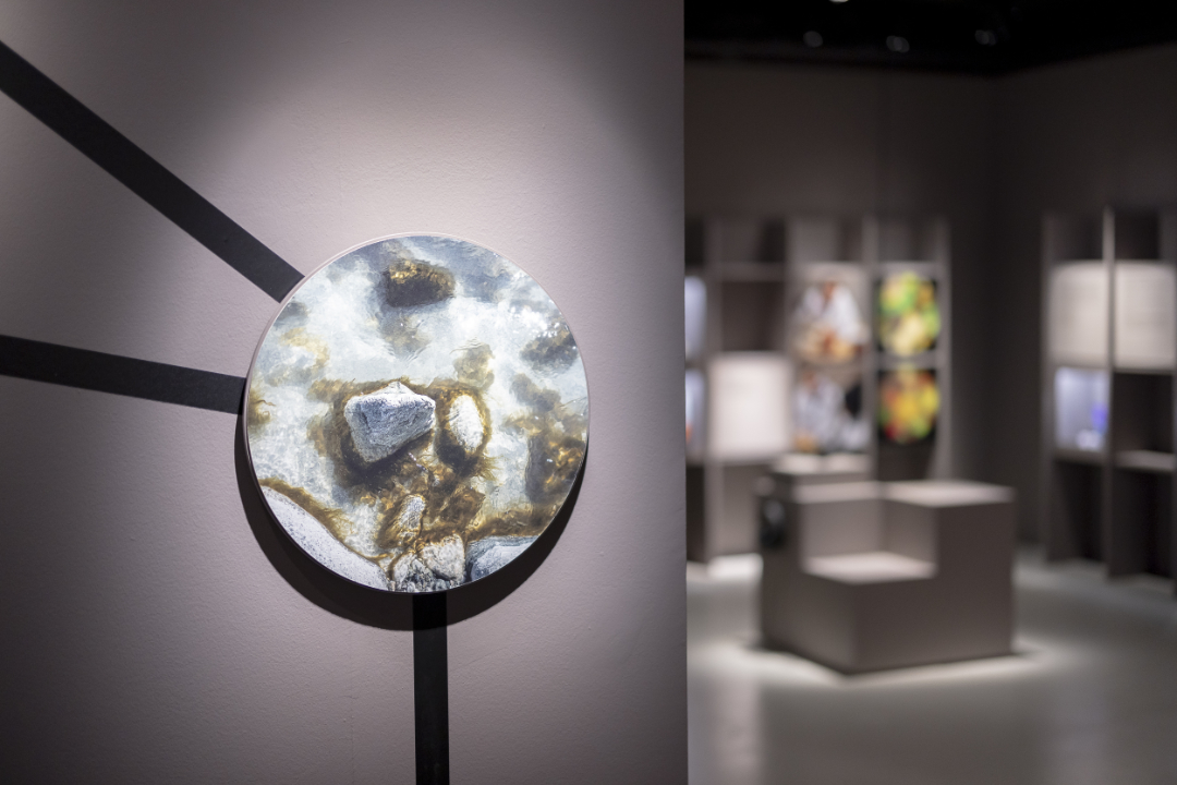 © Musée de la main UNIL-CHUV